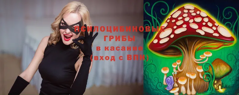 Псилоцибиновые грибы ЛСД  blacksprut как зайти  Бузулук  как найти наркотики 